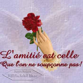 L'amiti�..